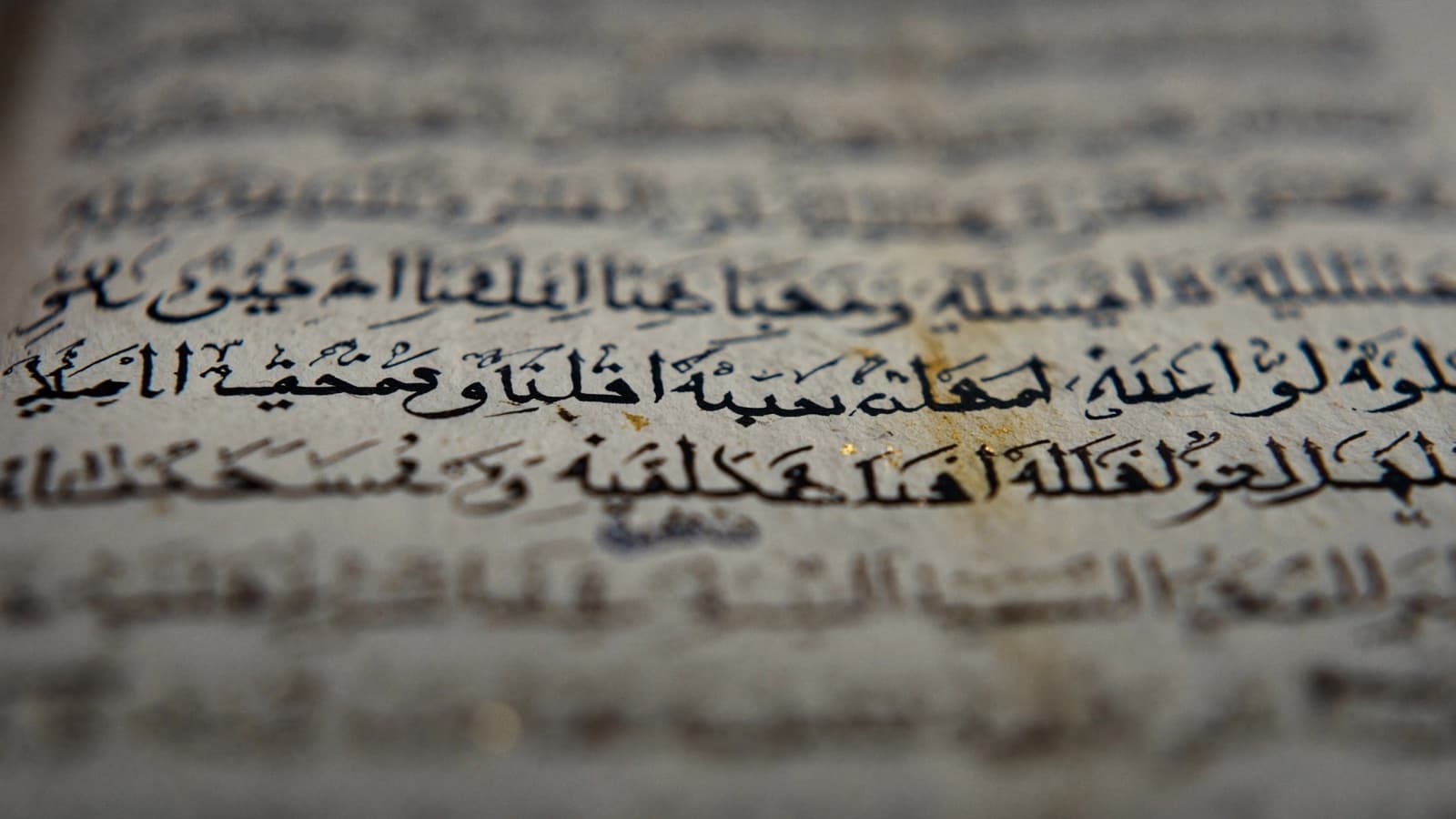 An aged manuscript page, Naskh script on parchment.